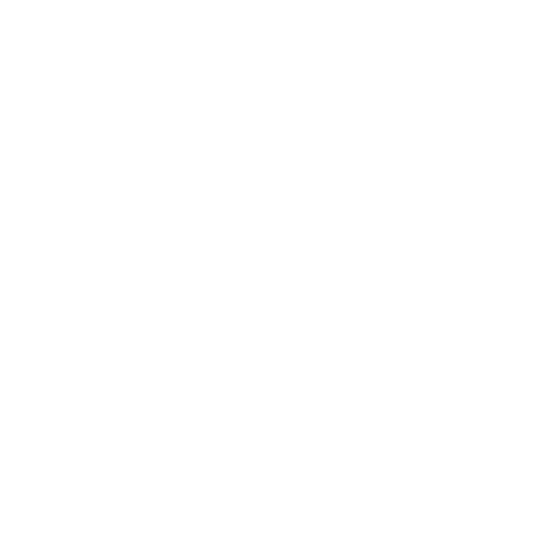 feature-item-1